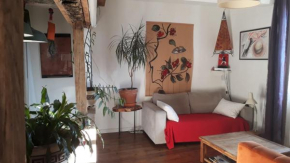 Jolie maison hyper centre Auch quartier tranquille